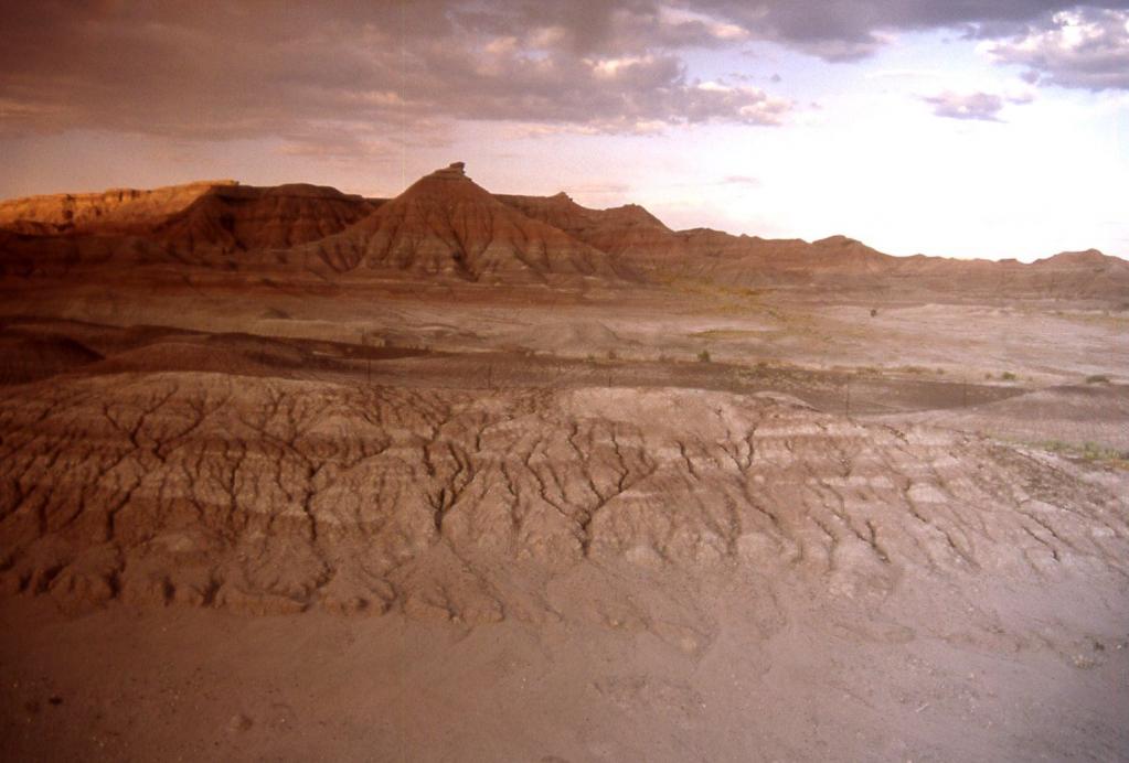 Landschaft in Arizona