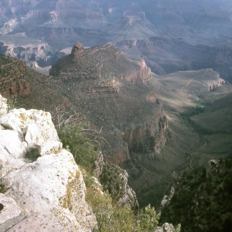 Panoramablick von einem hohen Aussichtspunkt über ein riesiges, geschichtetes Canyon-System.