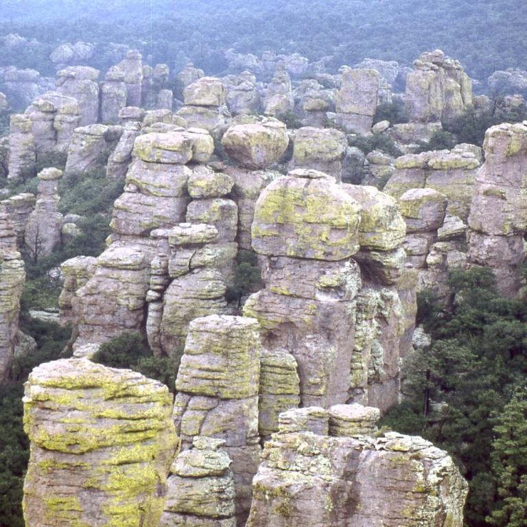 Weite Landschaft mit vielen gestapelten, säulenförmigen Felsformationen inmitten eines Waldes.
