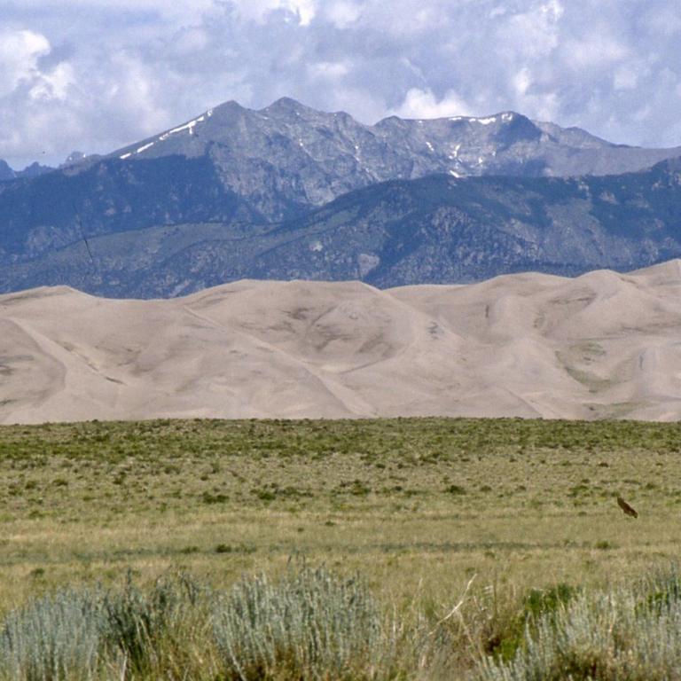 Eine weite Landschaft mit einem vordergründigen Wiesenstreifen, mittelhohen Sanddünen und im Hintergrund einer majestätischen Bergkette.