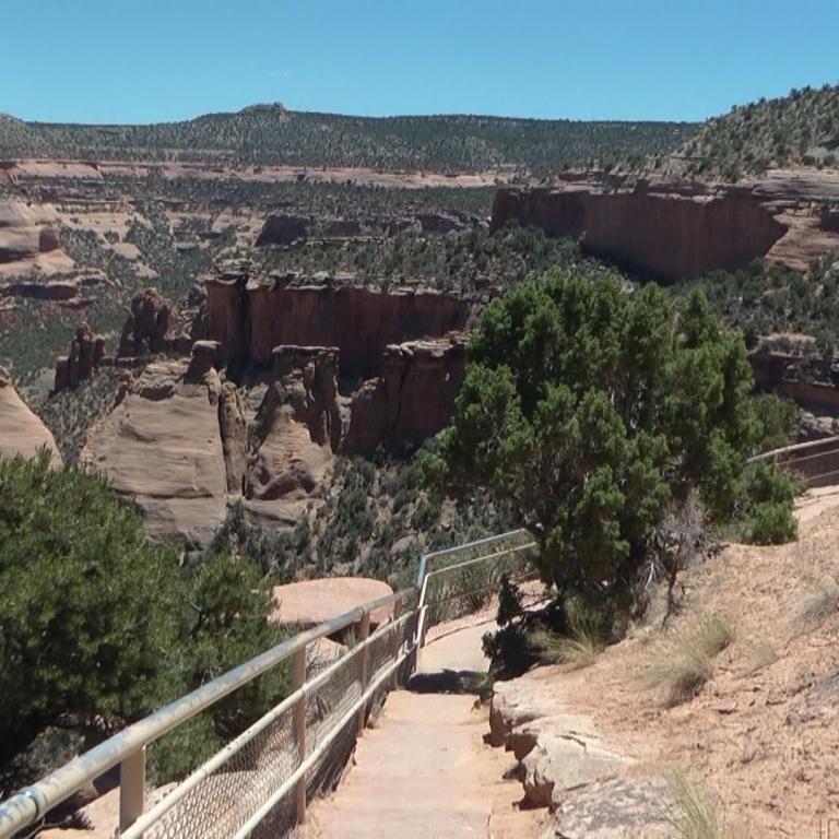 Panoramaaussicht auf eine weite Canyonlandschaft mit geschichteten Felsformationen und einem Wanderpfad im Vordergrund.