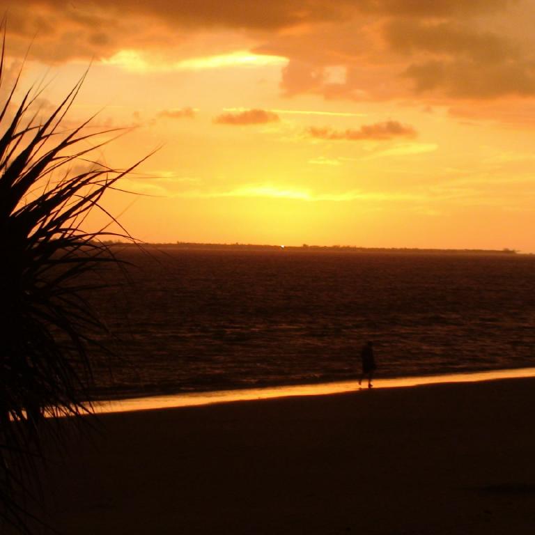 Dramatischer Sonnenuntergang über dem Meer, aufgenommen aus der Sicht mit einem dunklen Palmenwedel im linken Vordergrund.