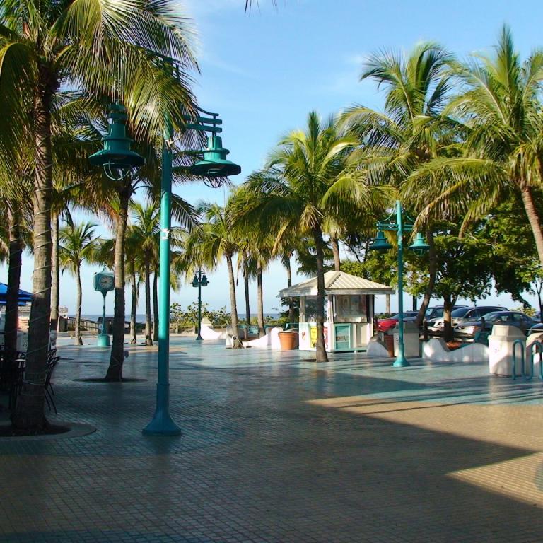 Eine sonnige, tropische Promenade, gesäumt von hohen Palmenbäumen und kleinen Pavillons.