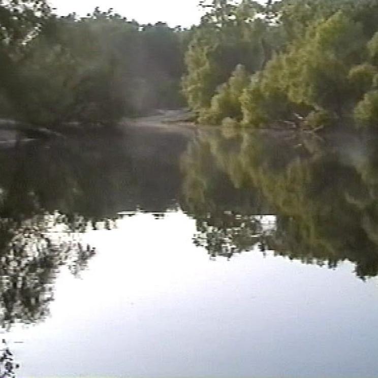 Ein ruhiger Fluss oder See mit spiegelnden Bäumen am Ufer.