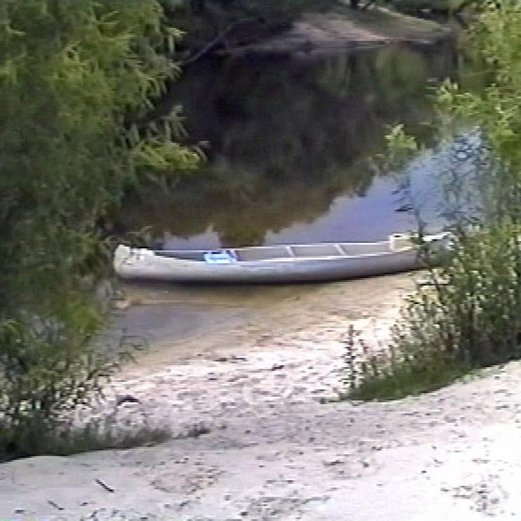 Ein kleines Boot liegt an einem Ufer, das von üppigem grünem Laubwerk und einem dunklen Gewässer eingerahmt wird.