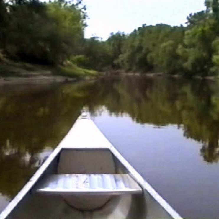 Der Bug eines Bootes auf einem ruhigen Fluss, gesäumt von dichtem Grün und Wäldern.
