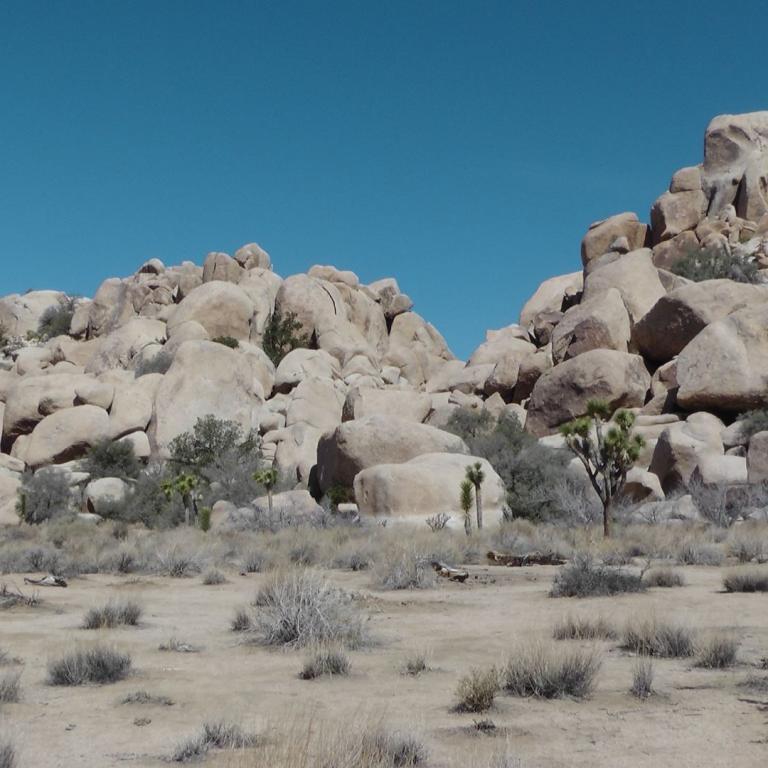 Eine Wüstenlandschaft mit imposanten, gerundeten Felsen und spärlicher, buschiger Vegetation.