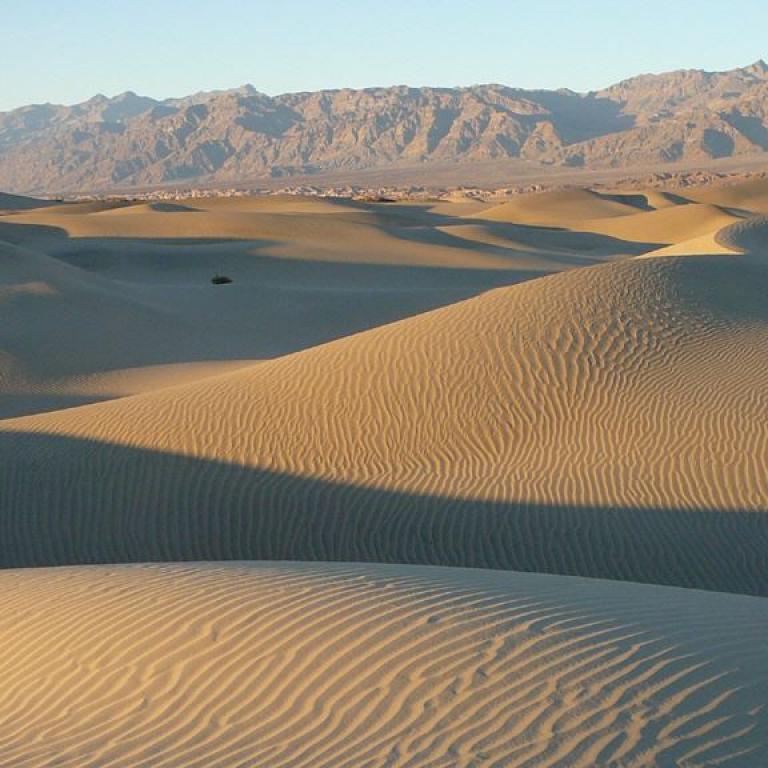 Eine weite Wüstenlandschaft mit wellenförmigen Sanddünen im Vordergrund und einer Gebirgskette im Hintergrund.