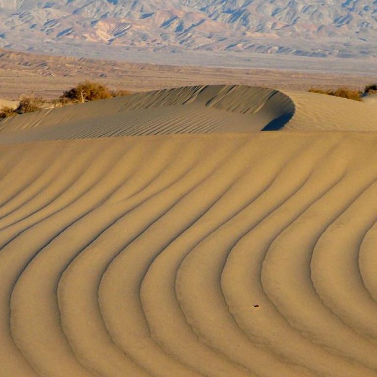 Sanddünenlandschaft mit deutlichen, wellenförmigen Sandrillen im Vordergrund.