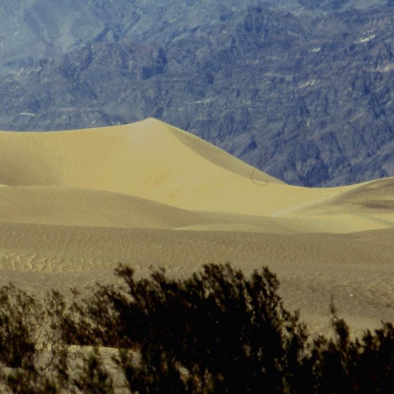 Weite goldenen Sanddünen vor einer Kulisse aus trockenen, zerklüfteten Bergen, im Vordergrund befindet sich dunkle Vegetation.