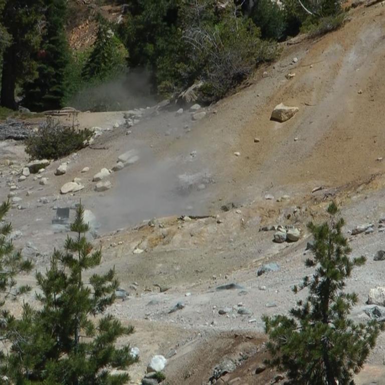 Eine trockene, felsige Naturlandschaft mit Waldrand und steilem Schutthang.