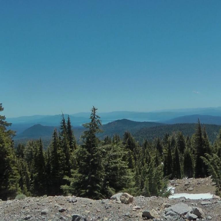 Panoramaaussicht auf einen dichten Nadelwald und Bergkette unter blauem Himmel.