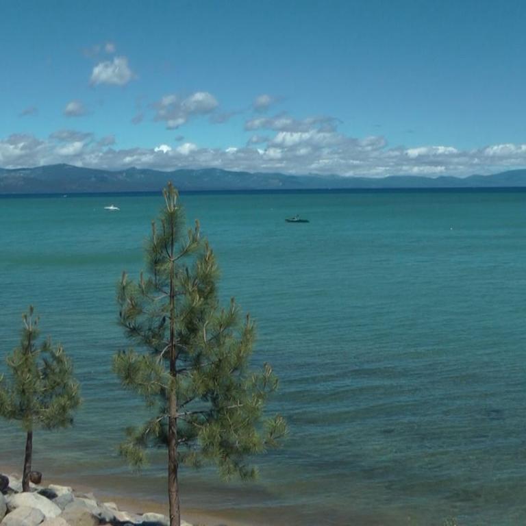 Küstenlandschaft mit Nadelbäumen am Ufer, blauem Meer und bewölktem Himmel.