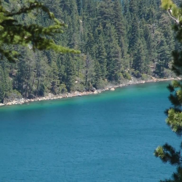 Blick auf einen großen, blauen See, umgeben von dichtem Wald und Nadelbäumen im Vordergrund.