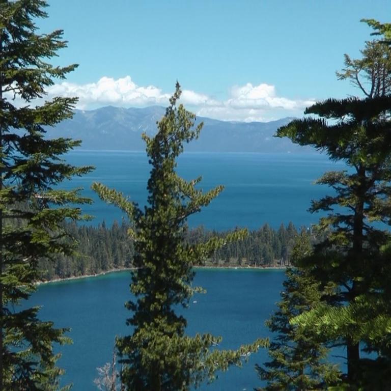 Ausgefallenes Blick von den Bäumen auf einen großen See und die Berge im Hintergrund