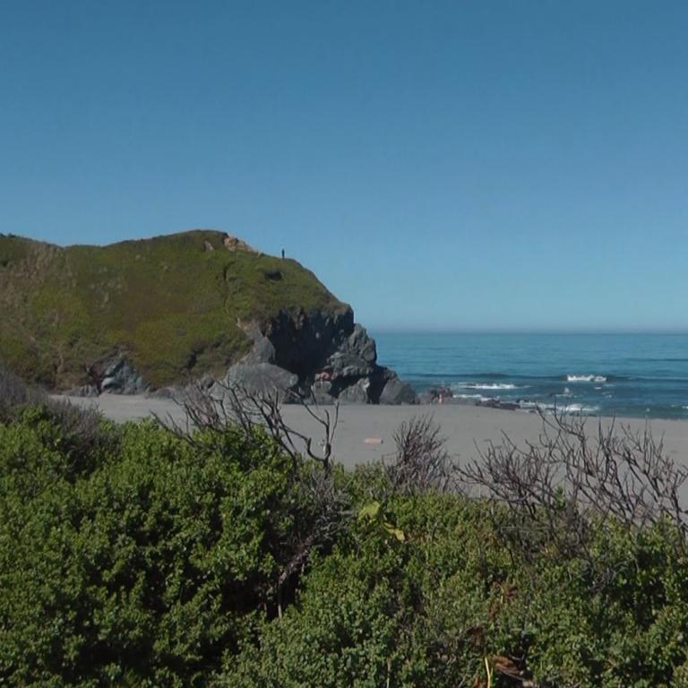 Ein Küstenpanorama mit steil abfallender grüner Küstenlinie, einem Sandstrand und dem blauen Meer.