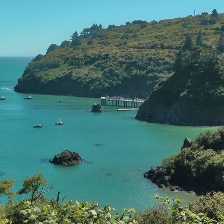 Weitläufige Küstenlandschaft mit grünen Hügeln und einer ruhigen Bucht im Vordergrund.