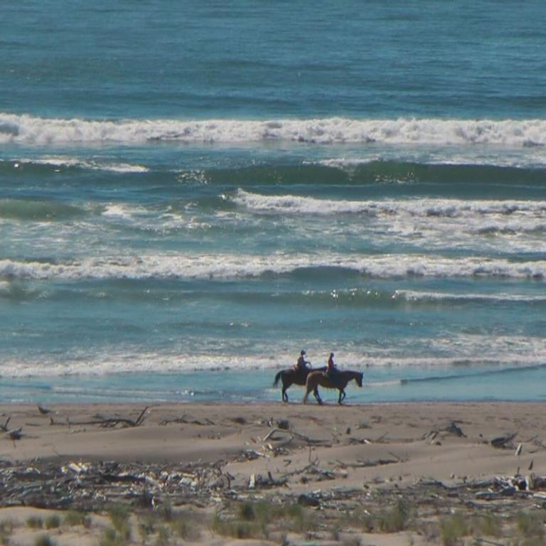 Zwei Reiter auf Pferden spazieren an einem sonnigen Strand vor dem offenen Meer.