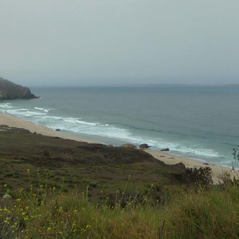 Küstenlandschaft mit breitem Sandstrand, grüner Vegetation und Meer bei bewölktem Himmel
