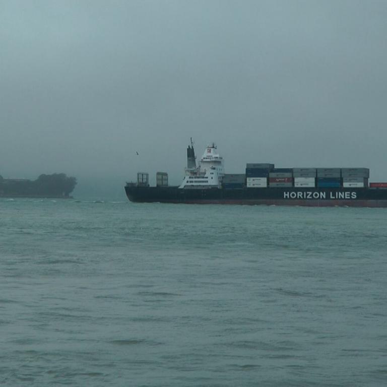Großer Containerschiff fährt bei grauem, bewölktem Himmel auf dem Meer.