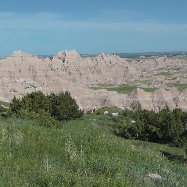 Weite Badlands-Landschaft mit grüner Vegetation im Vordergrund