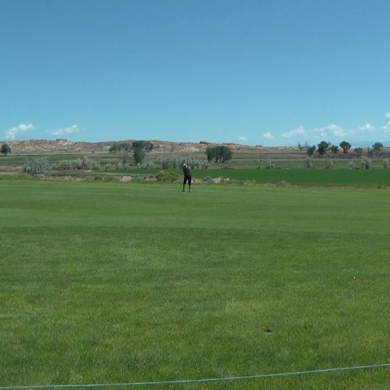 Weite grüne Wiesenlandschaft mit einer einzelnen Person im Zentrum vor blauem Himmel.