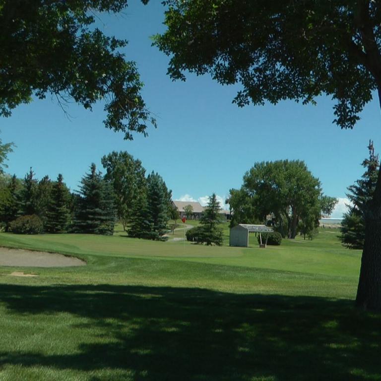 Eine malerische Szene eines Golfplatzes oder Parks, eingerahmt von großen Bäumen und Schatten.