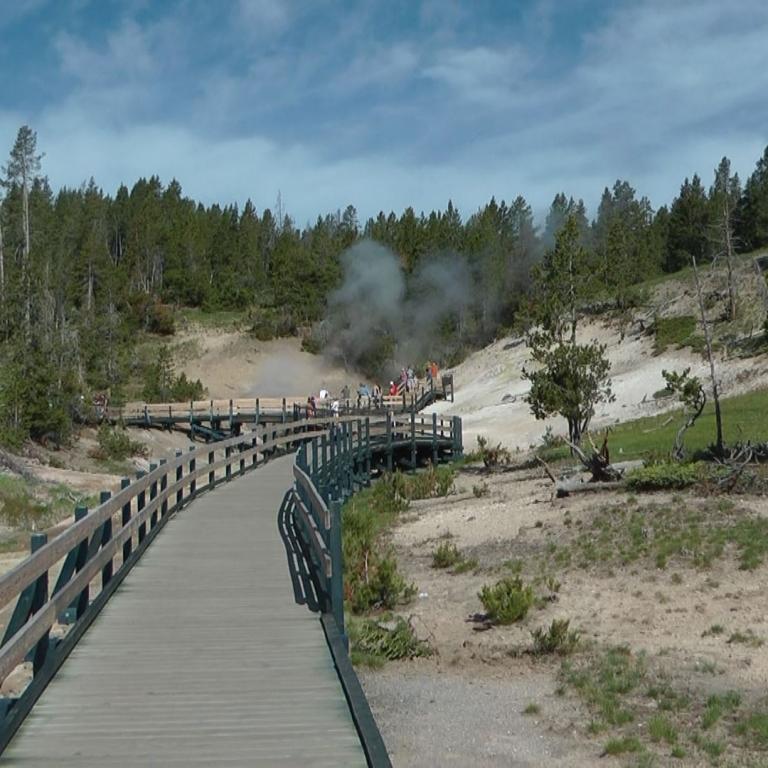 Eine hölzerne Holzsteig-Brücke führt durch eine natürliche Landschaft, flankiert von Wald und einer Lichtung.