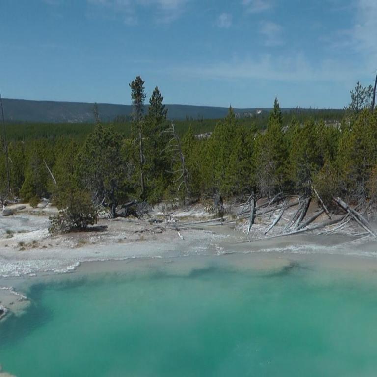 Ein türkisfarbenes Thermalbecken mit mineralweißem Ufer, umgeben von einem dichten Nadelwald.
