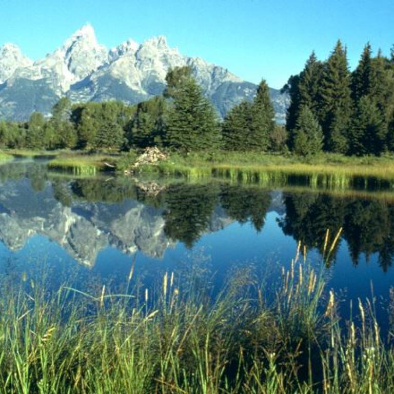 Ein Bergpanorama mit Wald und schroffen Gipfeln, dessen Reflexion sich in einem ruhigen See spiegelt.