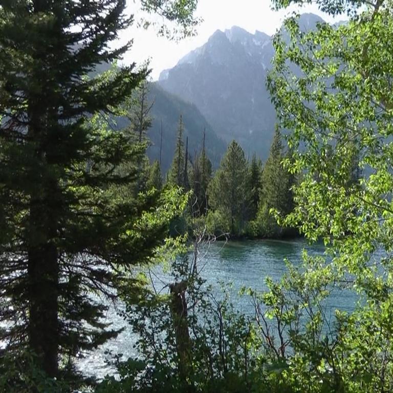 Eine malerische Berglandschaft mit einem See und umgeben von verschiedenen Bäumen.