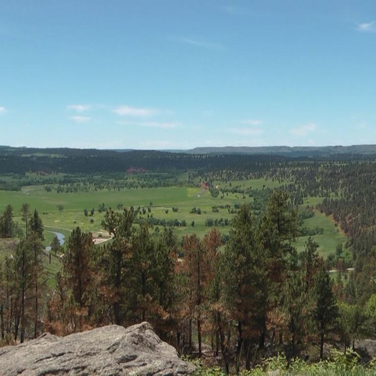 Panoramablick von einem felsigen Aussichtspunkt über ein weitläufiges, grünes Tal mit Wäldern unter blauem Himmel.