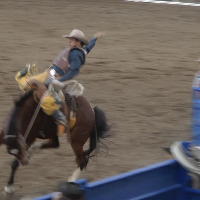 Ein Cowboy reitet auf einem galoppierenden Pferd in einer Rodeostätte.
