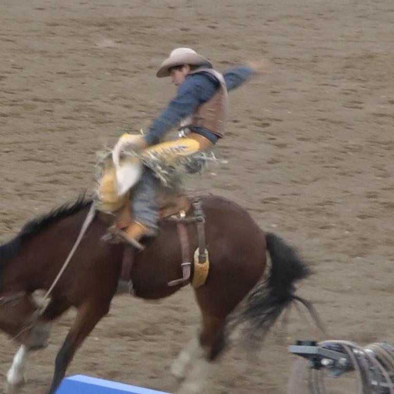 Ein Reiter sitzt auf einem braunen Pferd in einer staubigen Arena während eines Rodio-Wettbewerbs.