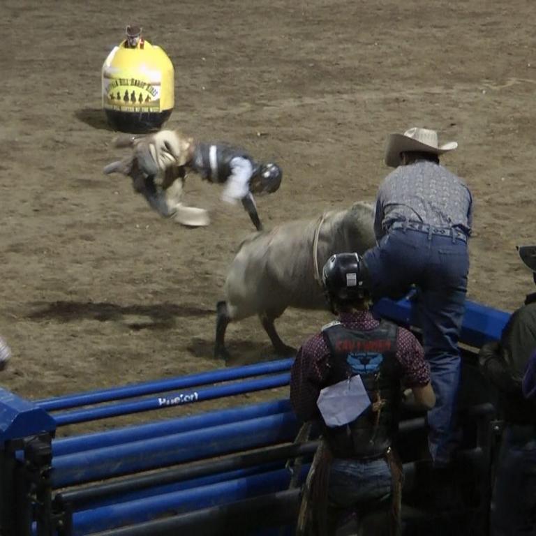 Szene eines Rodeo-Events in einer Schutthalle mit einem laufenden Hund, einem Rind und Zuschauern im Hintergrund.