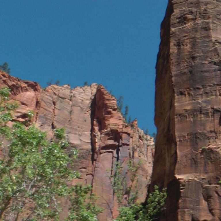 Blick auf steile, geschichtete Felswände eines Canyon mit üppigem grünem Vordergrund