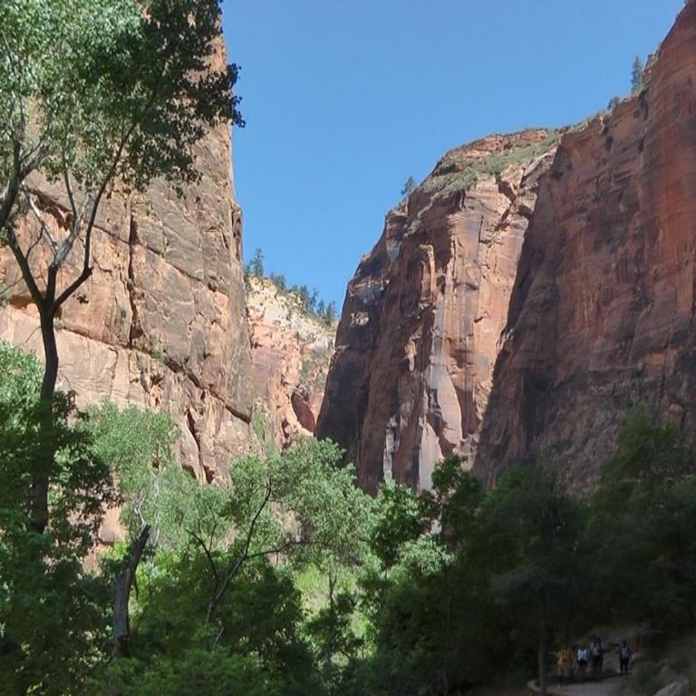 Massive rote Felswände eines Canyons über einem dichten Waldgebiet.
