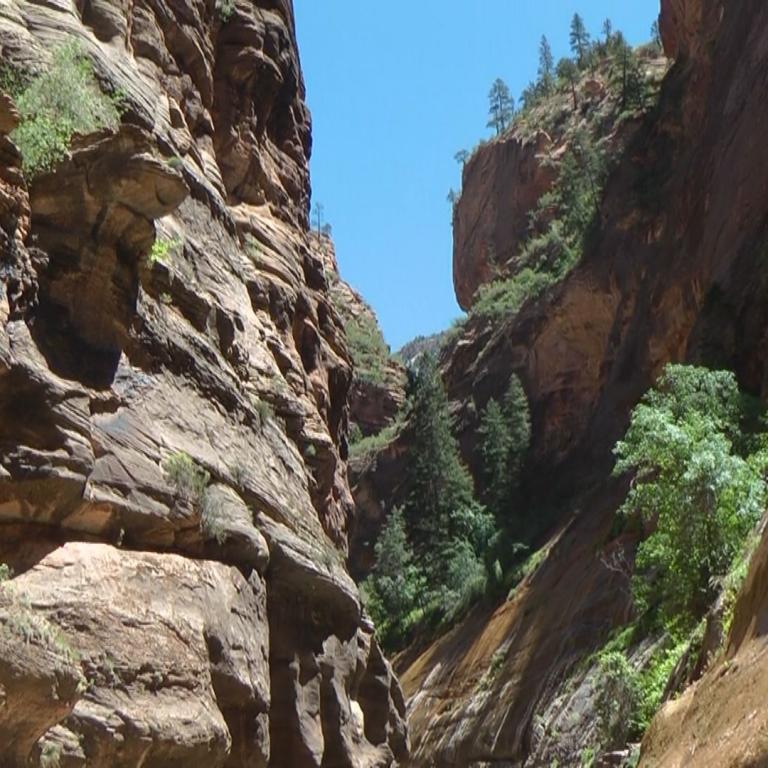 Ein tief eingeschnittener Canyon mit steilen, felsigen Wänden, die auf beiden Seiten sichtbar sind. Die Schluchten sind mit Vegetation wie Bäumen und