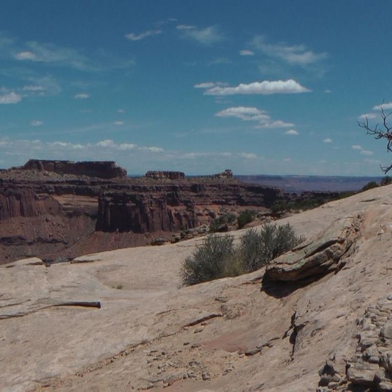 Panoramablick auf eine Canyon-Landschaft mit roten Felsplateaus und einem Baum im Vordergrund.