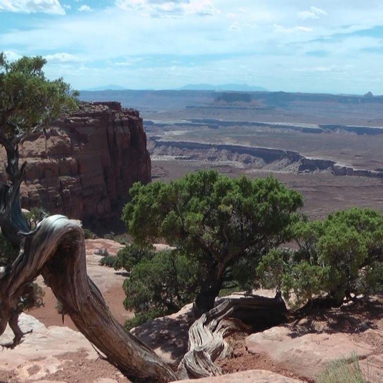 Panoramaaussicht über eine ausgedehnte Canyonlandschaft mit Felsen, Bäumen und karger Vegetation im Vordergrund.