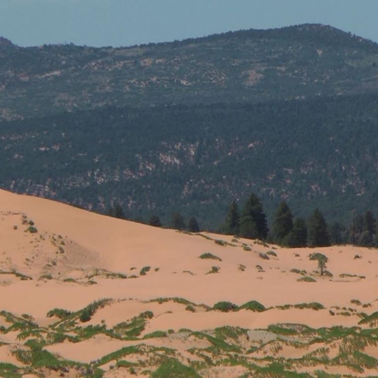 Eine ausgedehnte Sanddüne im Vordergrund, dahinter ein dunkler Waldstreifen und im Hintergrund bewaldete Berge.