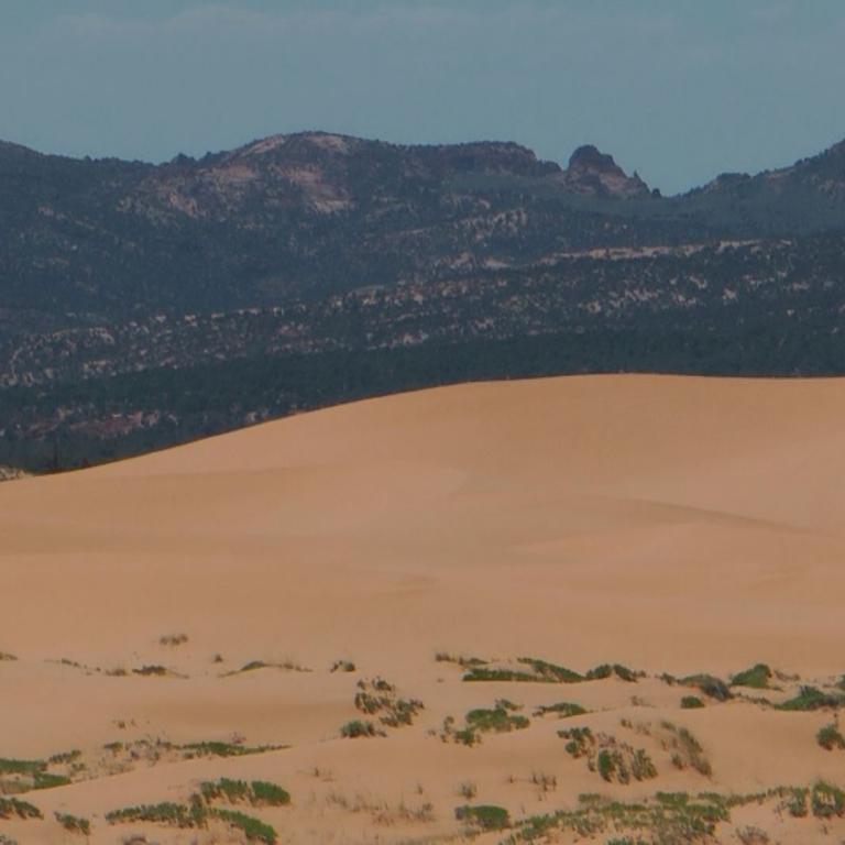 Eine Wüstenlandschaft mit einer Sanddüne im Vordergrund und einem Gebirge im Hintergrund.