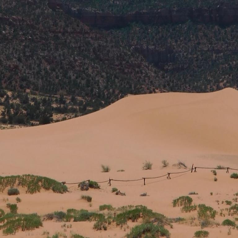 Sanddünen mit niedriger Vegetation vor einem dunklen Hintergrund.