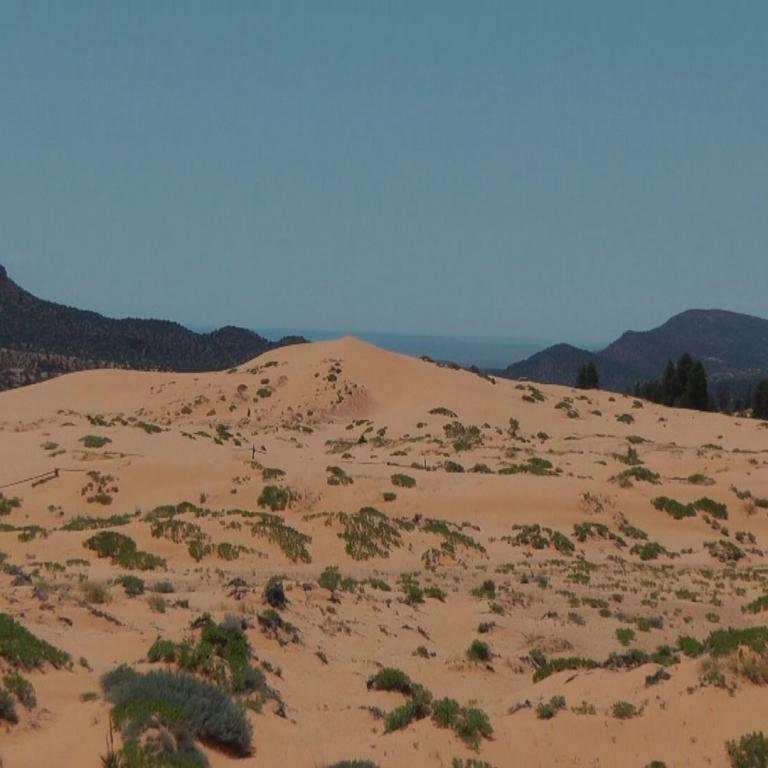 Eine Dünenlandschaft mit niedriger, buschiger Vegetation vor dem Hintergrund von Bergen.