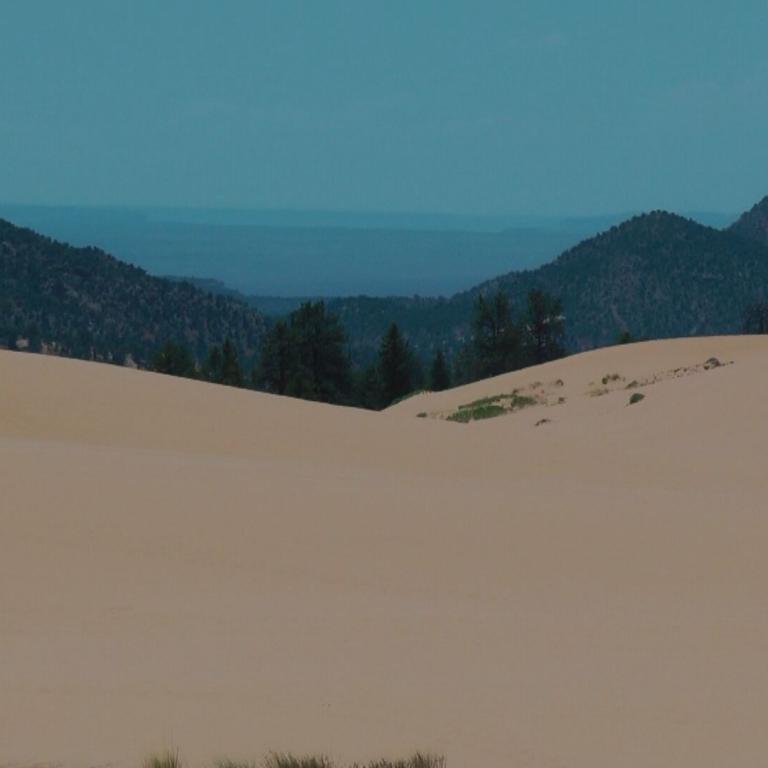 Ein Blick über eine sandfarbene Wüste hinweg auf bewaldete Hügel und einen blauen Horizont.