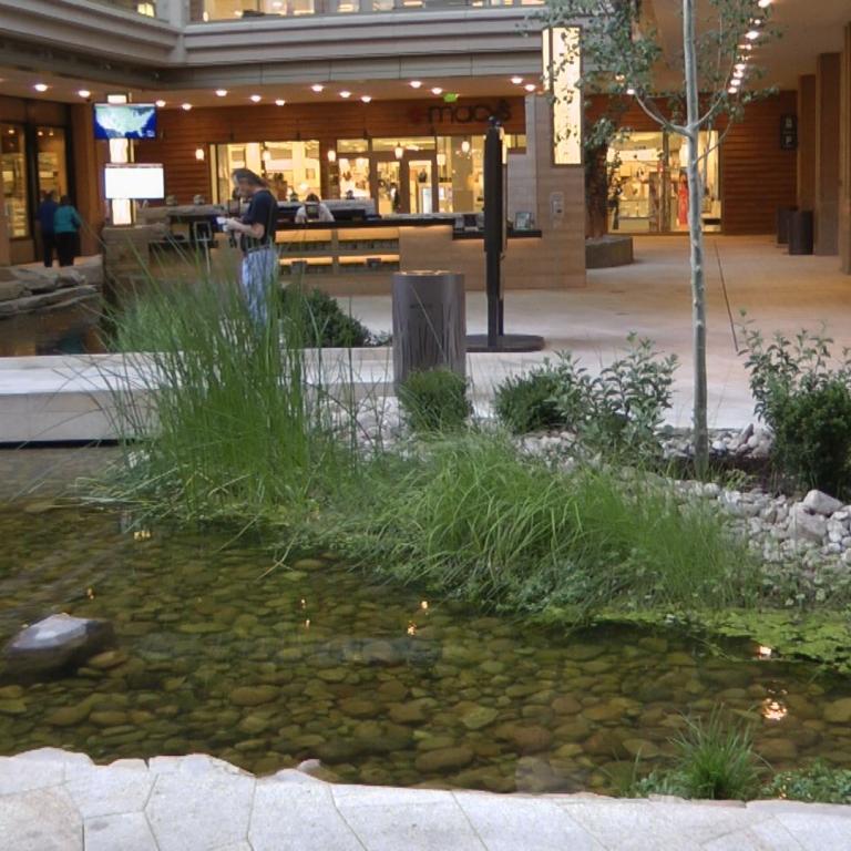 Ein ruhiger Teich mit Schilf, umgeben von großen Steinen und modernen Geschäftsfassaden im Hintergrund.