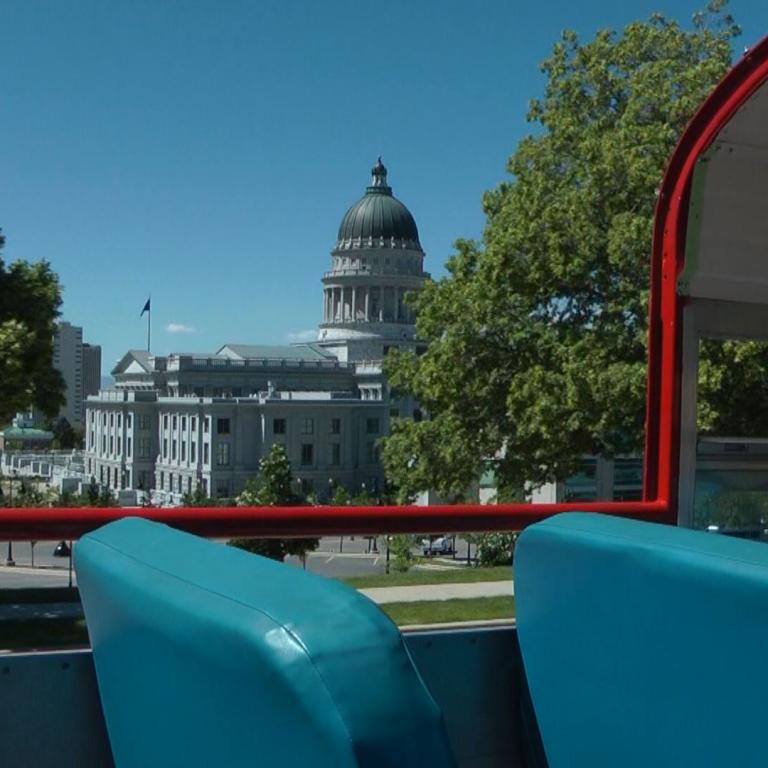 Blick auf das Kapitol in Washington D.C. von einem Sitzplatz aus, umrahmt von Bäumen.